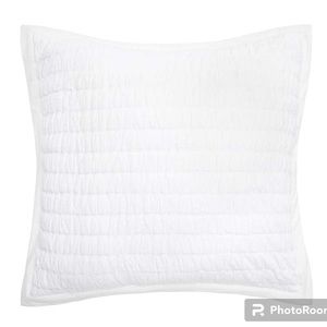 3 / Elizabeth York Elodie Dove Euro Sham in White